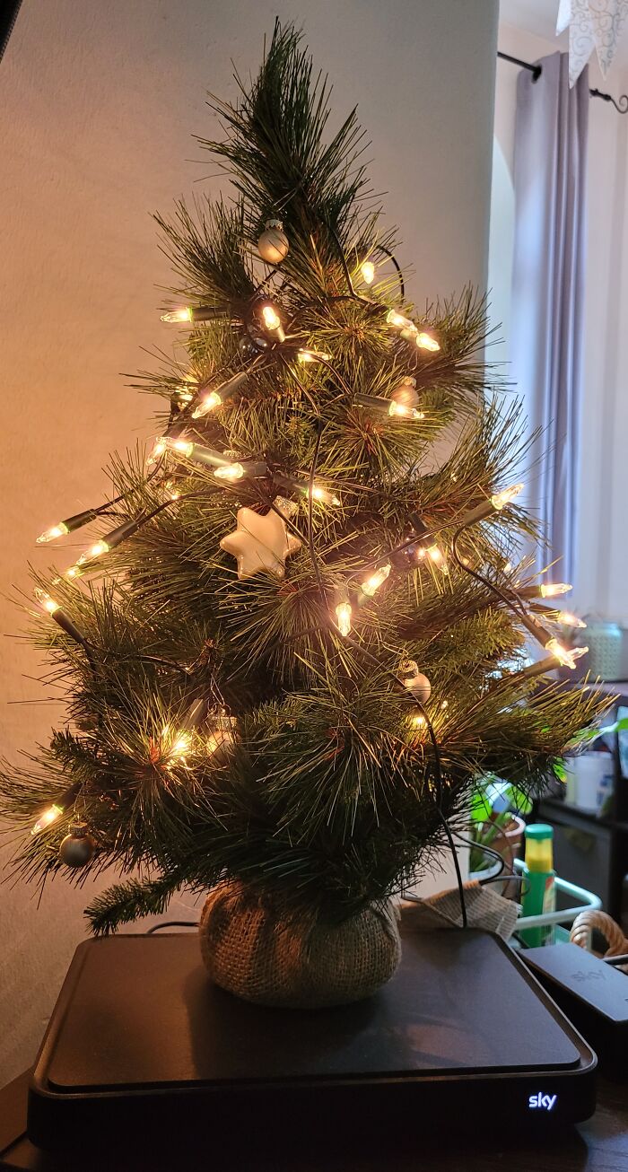 He Is Named Joachim. We Have Him Since 2010