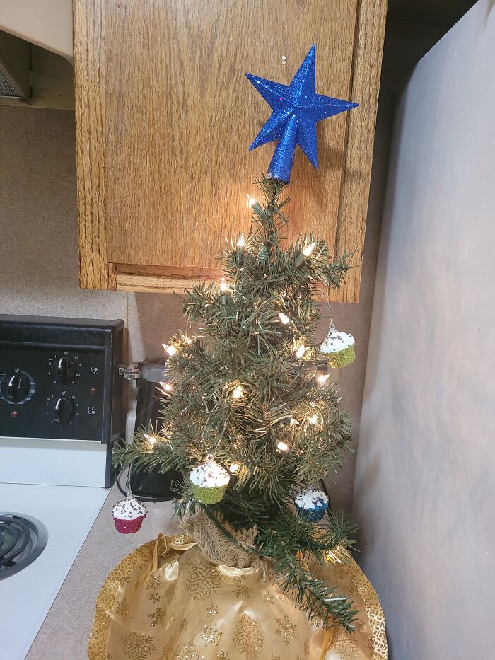 Got This Little Lady When I Moved Into My Apartment Four Years Ago