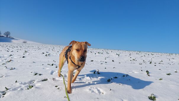 Lucy Is Not Impressed