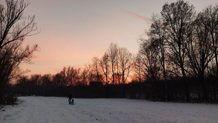 Winter Afternoon In Bavaria, Germany