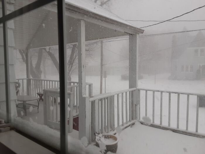 My Favorite Christmas Decor? The Beginnings Of A Blizzard!