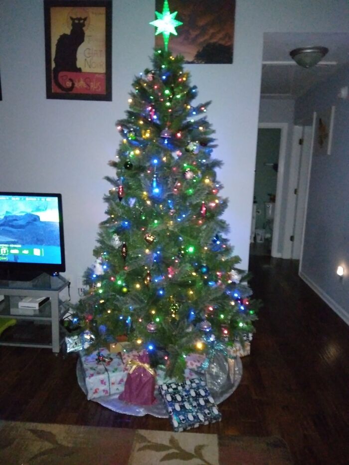 Our Tree