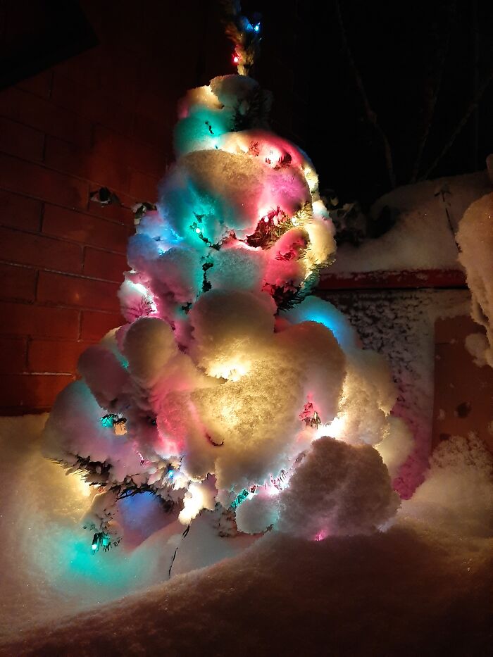 It's Finally Christmas Morning! It's Been Snowing Sideways For 3 Days! This Is The Little Porch Tree