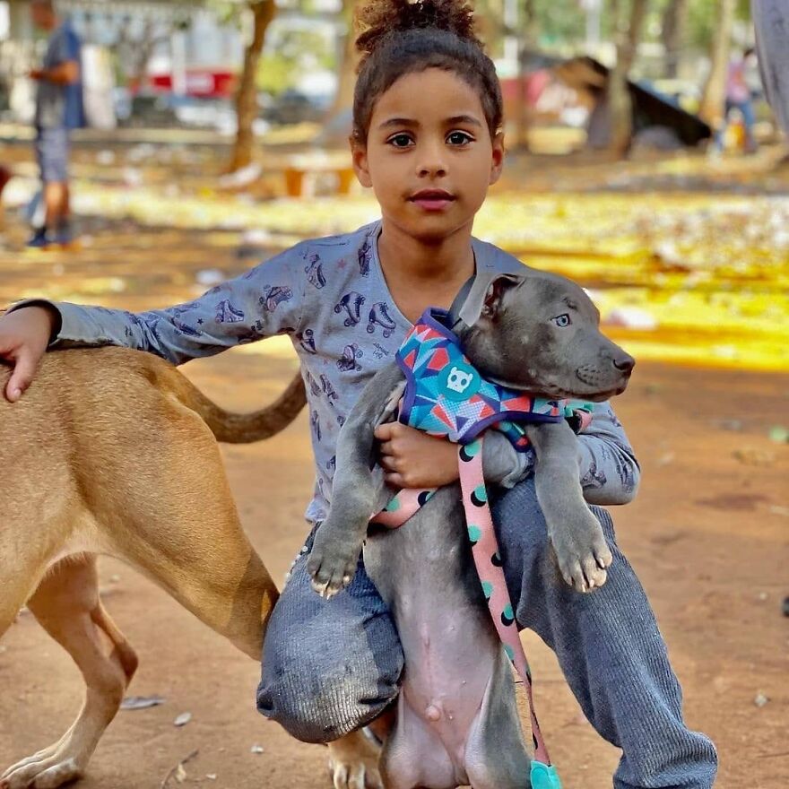 In Brazil, Dogs Make Homeless Children's Lives A Little Less Sad (30 Pics)