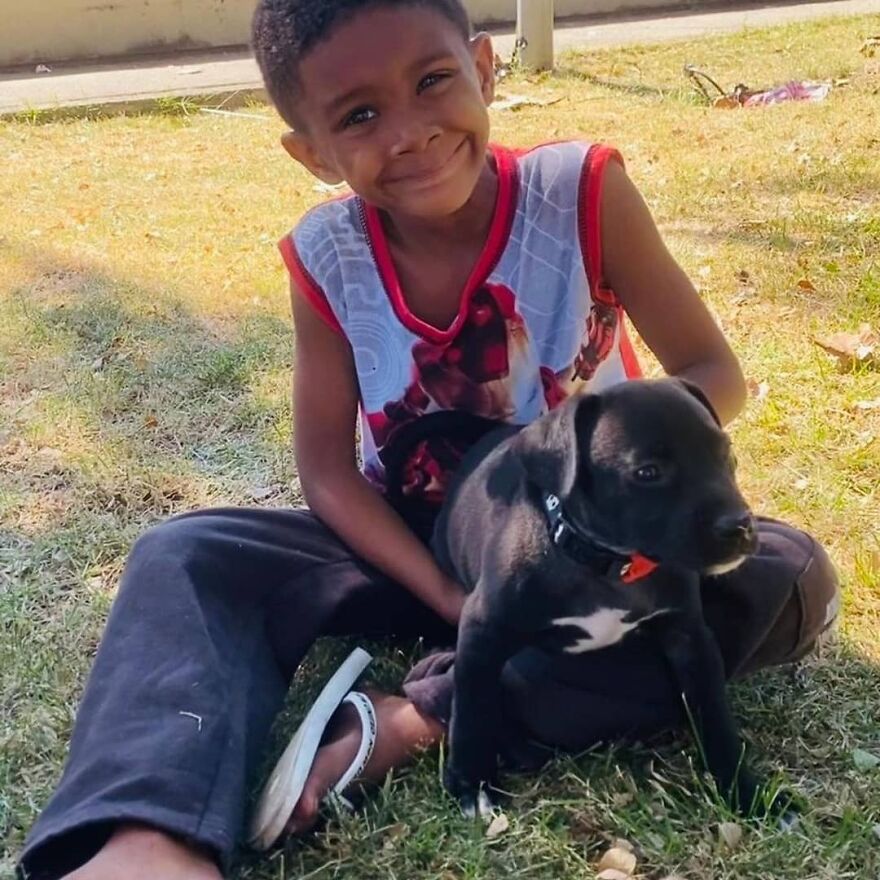 In Brazil, Dogs Make Homeless Children's Lives A Little Less Sad (30 Pics)