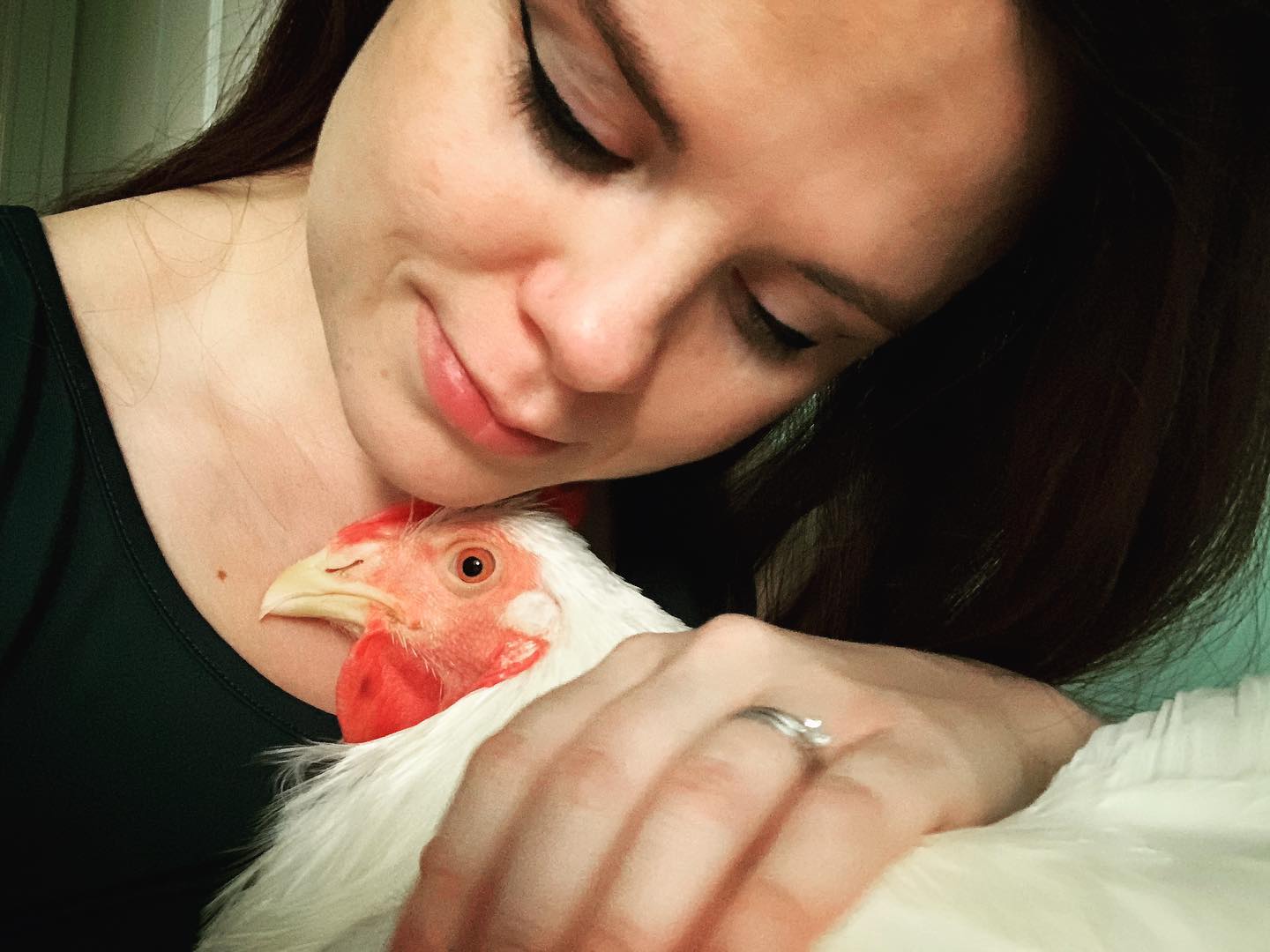 Boo Was Rescued From A Meat Factory 5 Years Ago, And His Life Shines In New Colors Ever Since