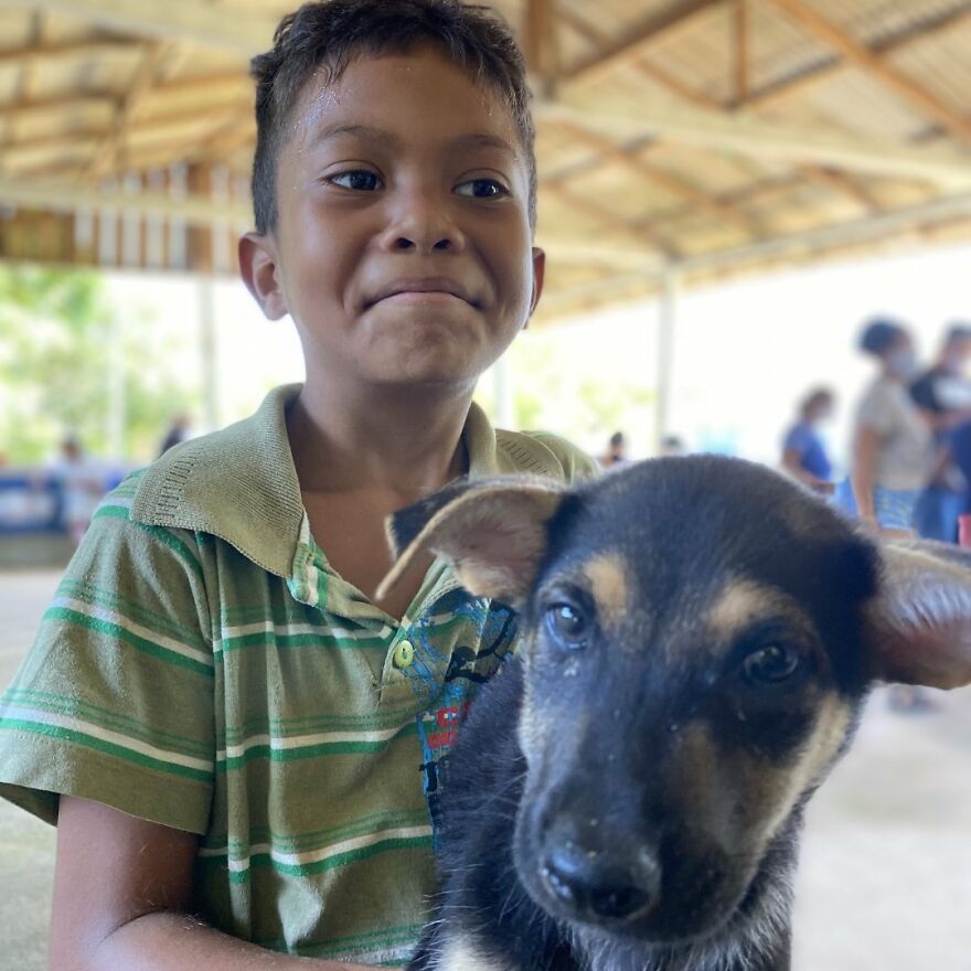 In Brazil, Dogs Make Homeless Children's Lives A Little Less Sad (30 Pics)
