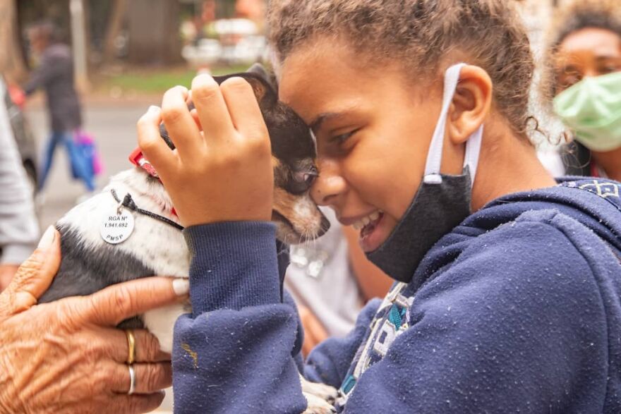 In Brazil, Dogs Make Homeless Children's Lives A Little Less Sad (30 Pics)