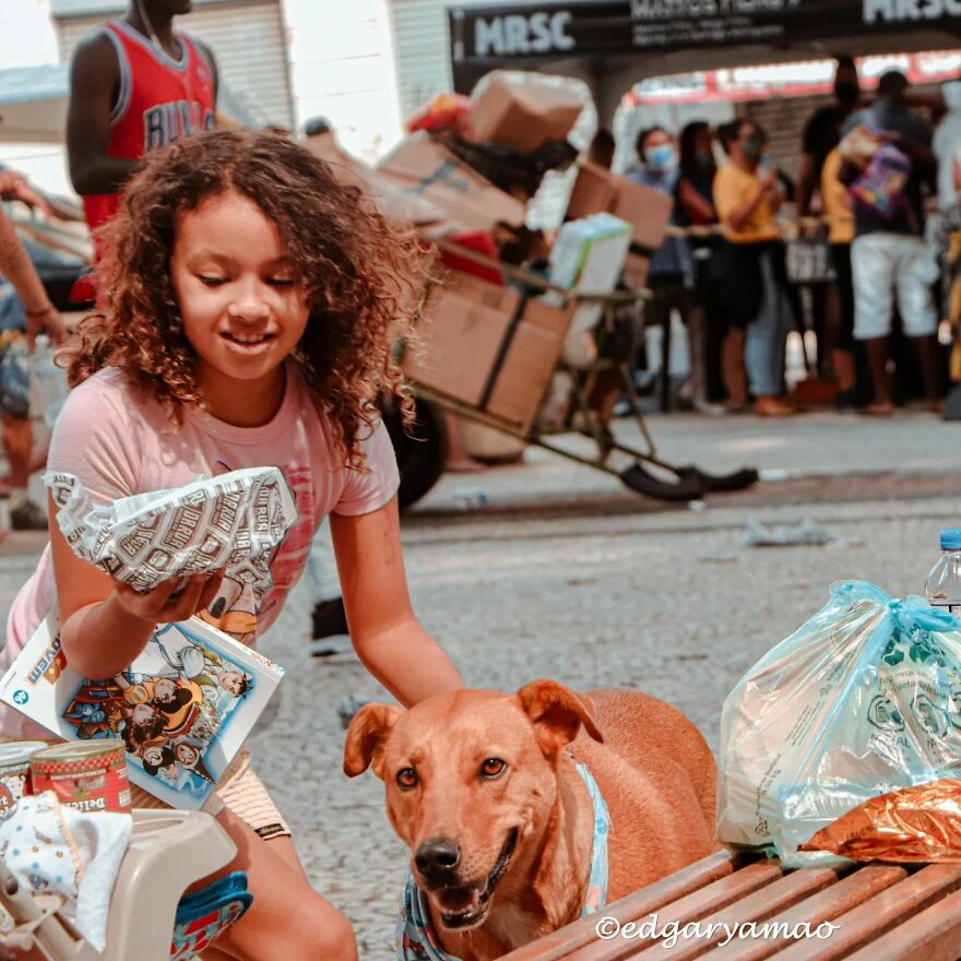 In Brazil, Dogs Make Homeless Children's Lives A Little Less Sad (30 Pics)