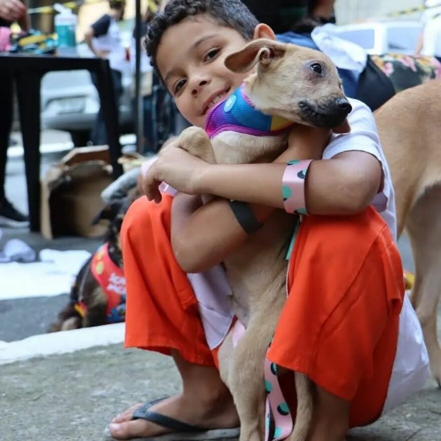In Brazil, Dogs Make Homeless Children's Lives A Little Less Sad (30 Pics)