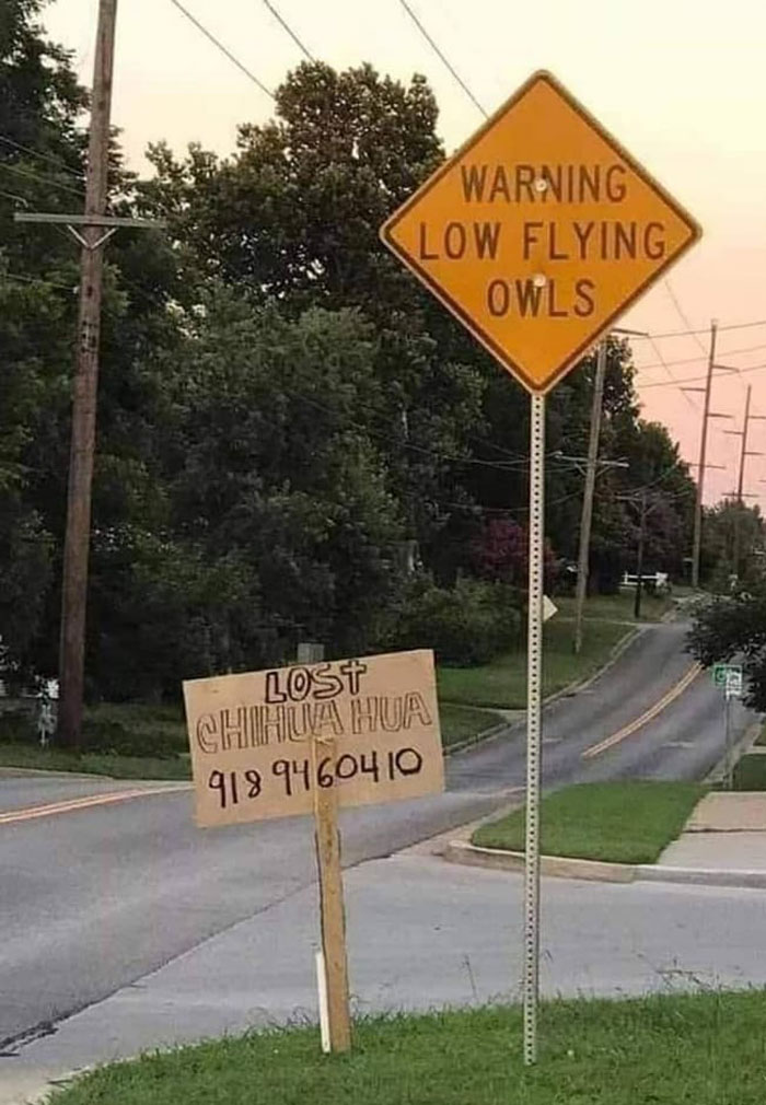 Nonsense-Weird-Signs-Facebook