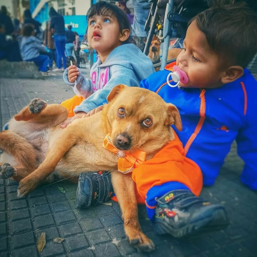 In Brazil, Dogs Make Homeless Children's Lives A Little Less Sad (30 Pics)