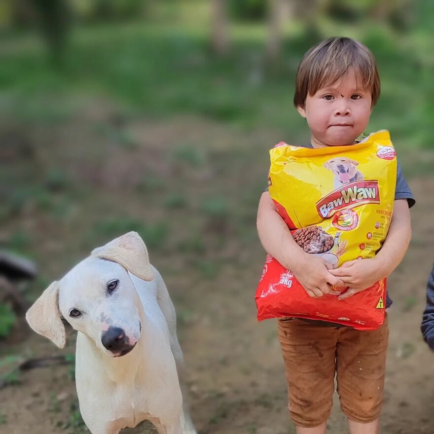 In Brazil, Dogs Make Homeless Children's Lives A Little Less Sad (30 Pics)