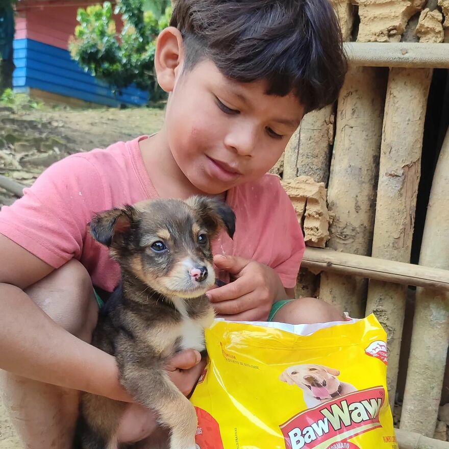In Brazil, Dogs Make Homeless Children's Lives A Little Less Sad (30 Pics)