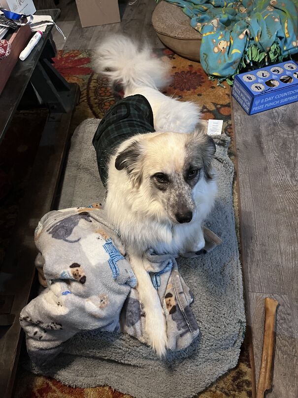 This Is Badger Exhibiting The Latest Fashions