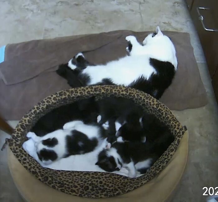 Mommy Needs A Break!