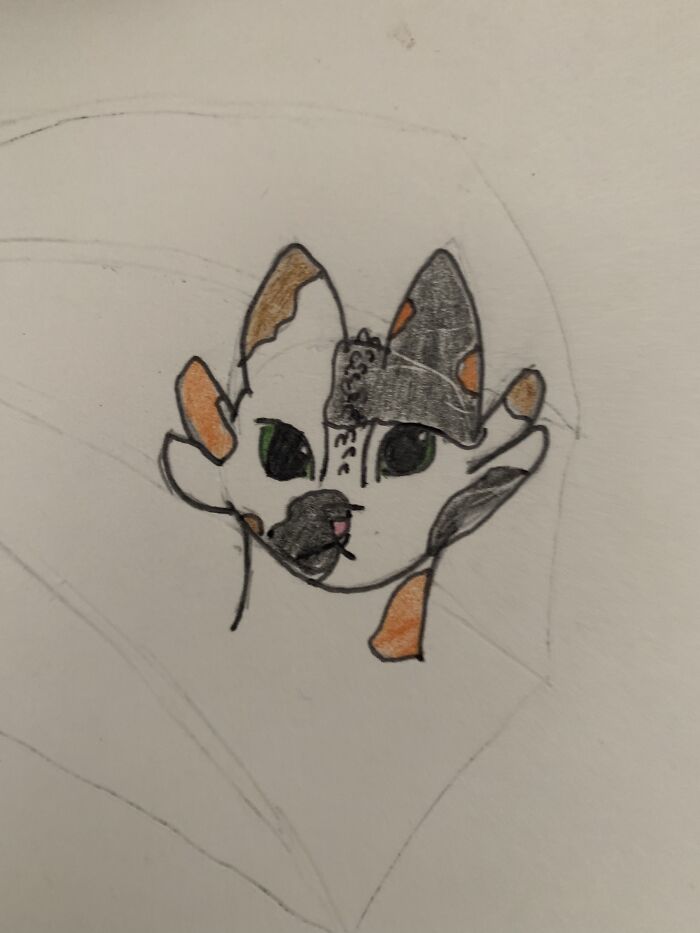 I Know I Already Posted, But This One Is Too Cute To Not Show. Here Is A Calico Fury