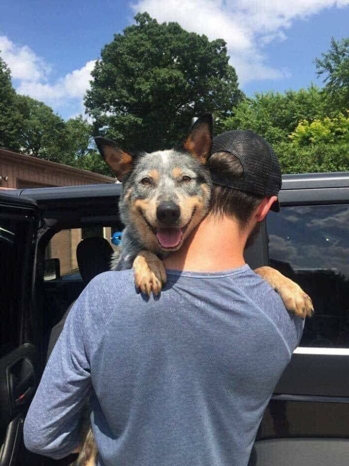 Adopté a este pequeñín ayer. Ha estado en un refugio toda su vida y parece muy feliz de ir a su primer hogar