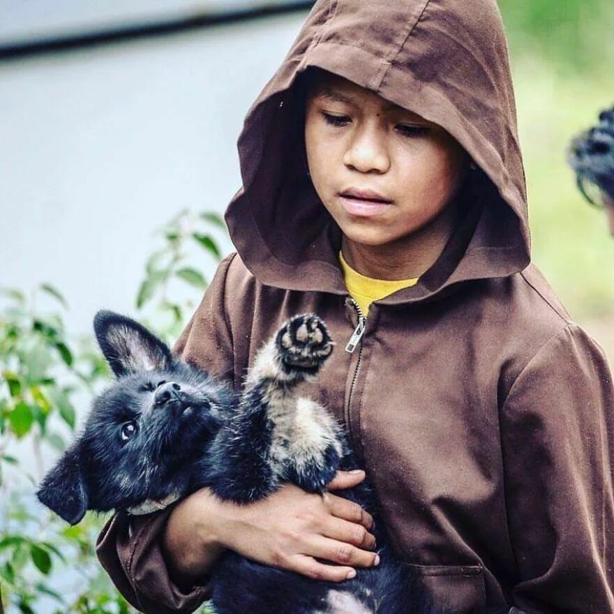 In Brazil, Dogs Make Homeless Children's Lives A Little Less Sad (30 Pics)
