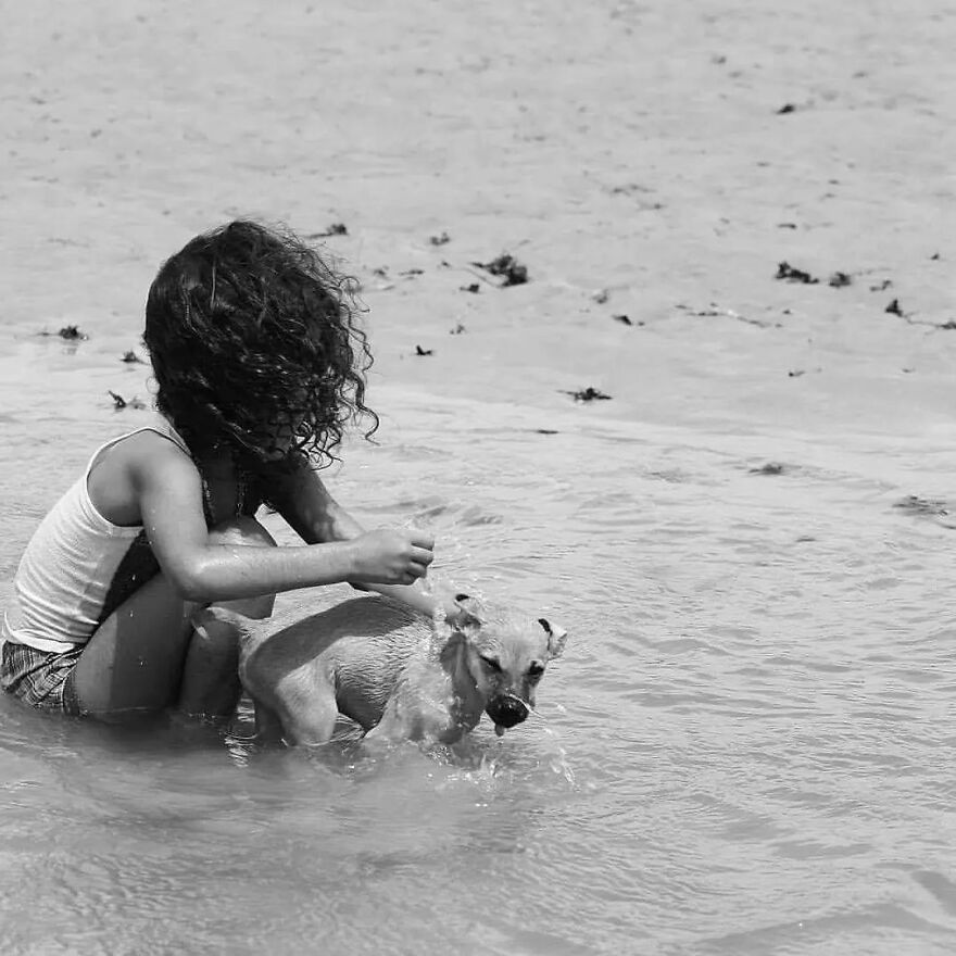 In Brazil, Dogs Make Homeless Children's Lives A Little Less Sad (30 Pics)