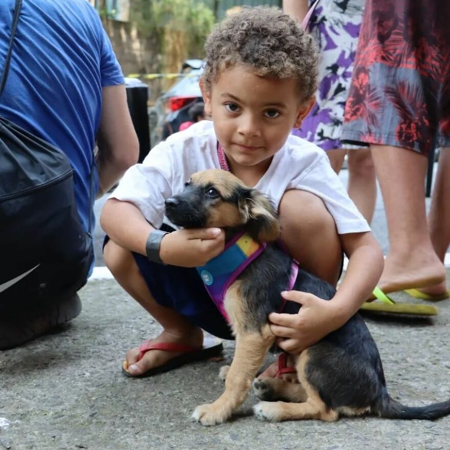 In Brazil, Dogs Make Homeless Children's Lives A Little Less Sad (30 Pics)