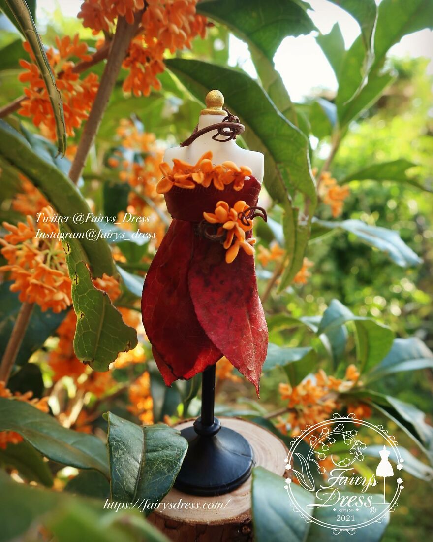 Japanese Artist Makes Delicate And Beautiful "Fairy Dresses"