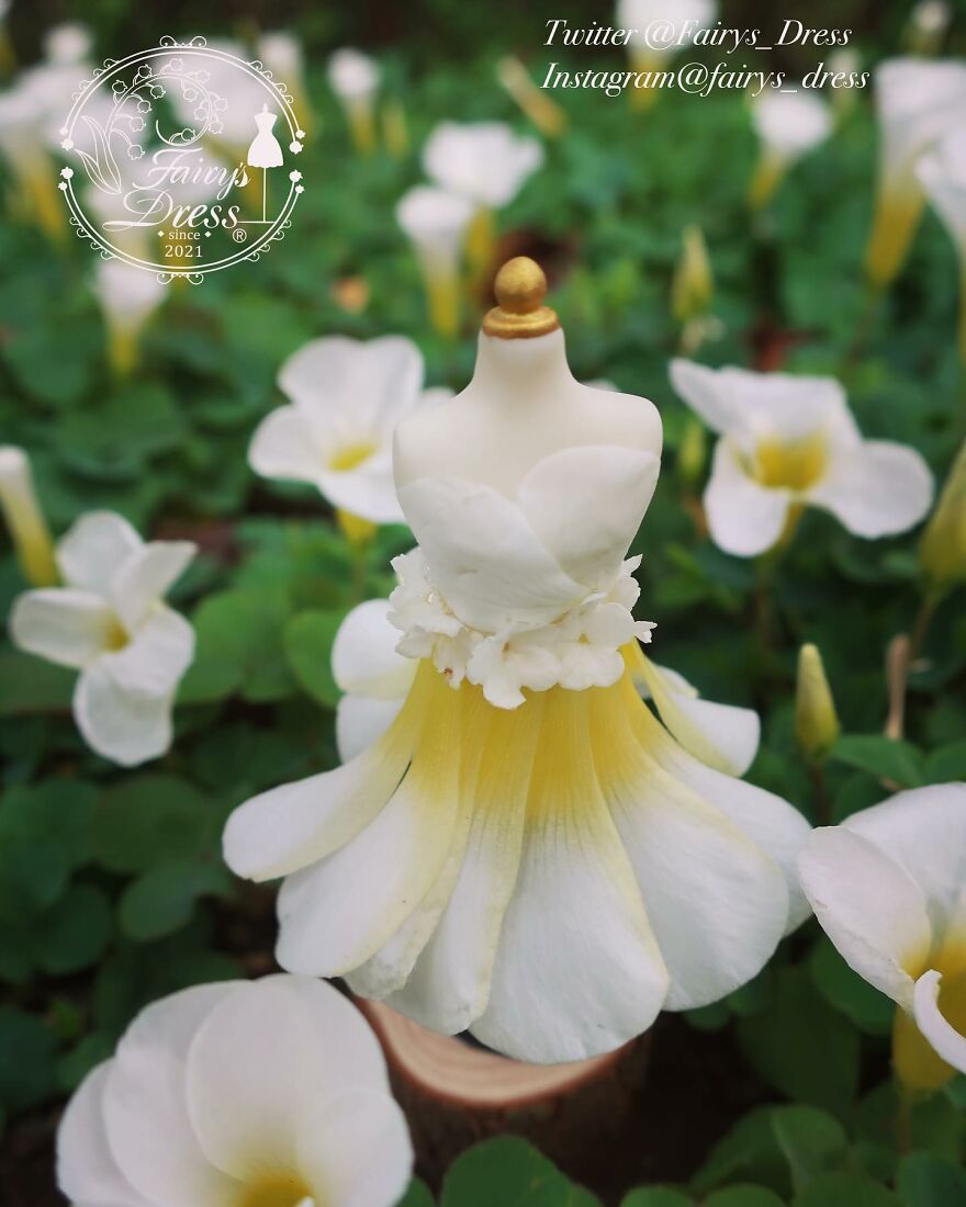 Japanese Artist Makes Delicate And Beautiful "Fairy Dresses"