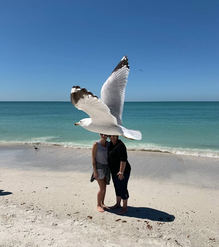 I Finally Found It! The Photo I Took Of My Wife And Her Friend