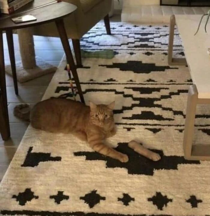 Accidental-Surrealism