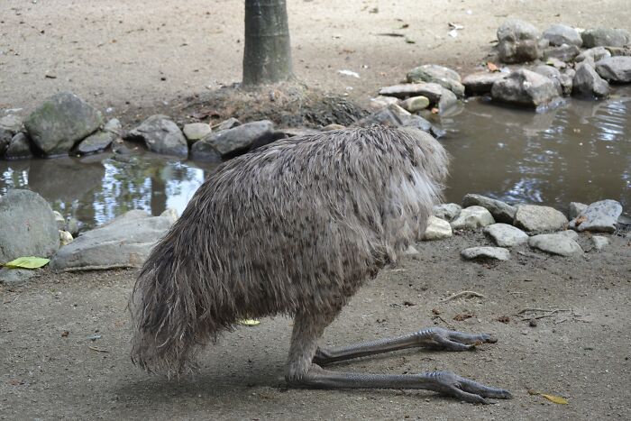 I Line Up For The Perfect Shot And Just As I Push The Button