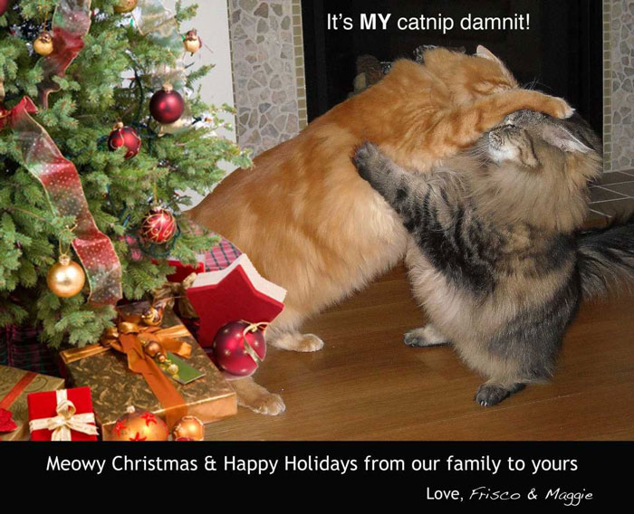 Do They Know It's Christmas Afterall?