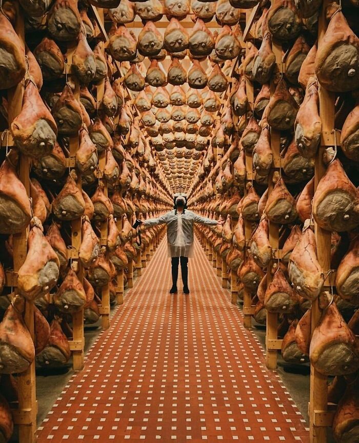 Accidental-Surrealism