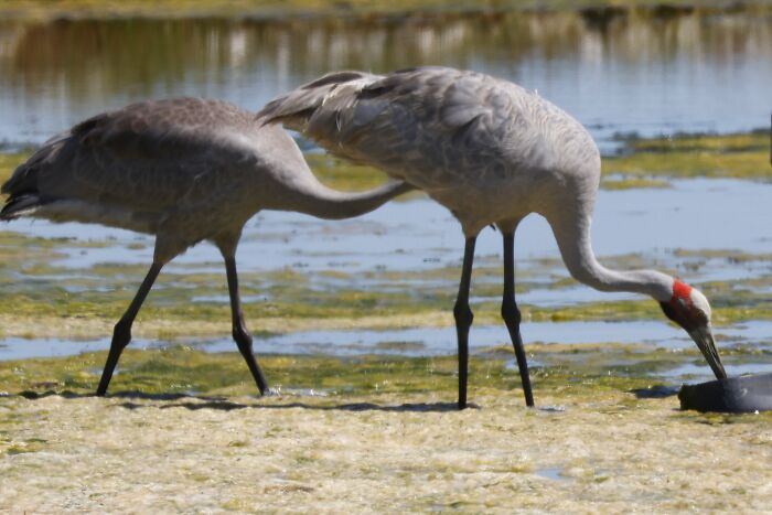 Asking The Boss For A Promotion