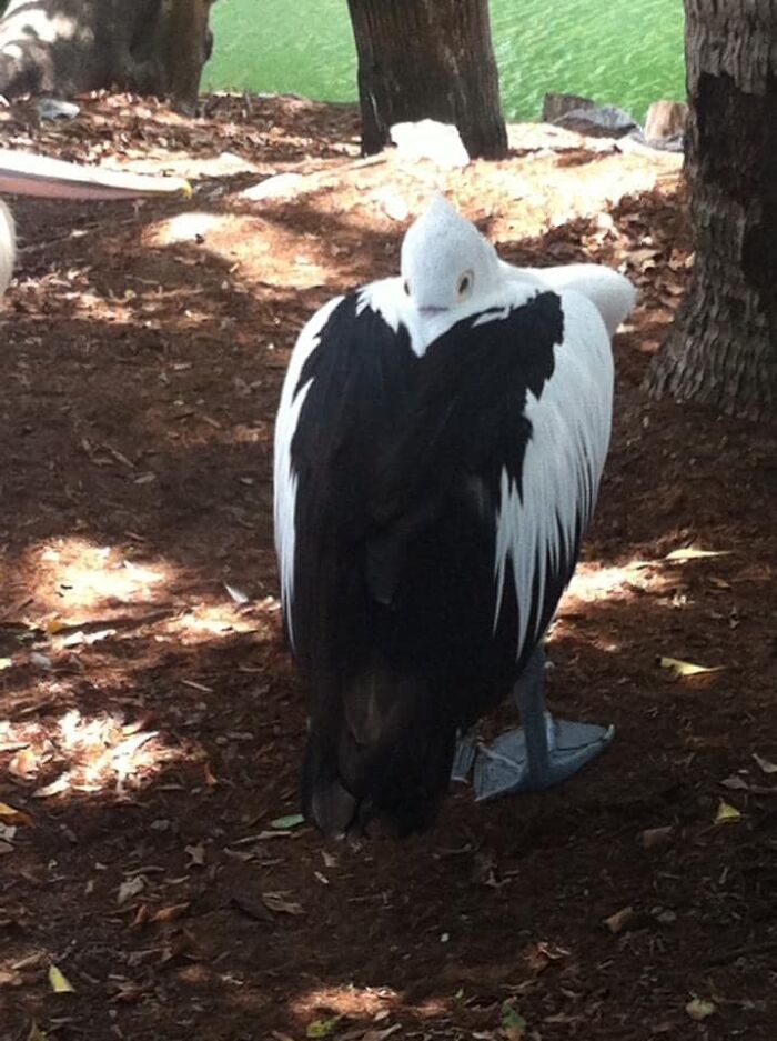 I Have Eyes In The Back Of My Head