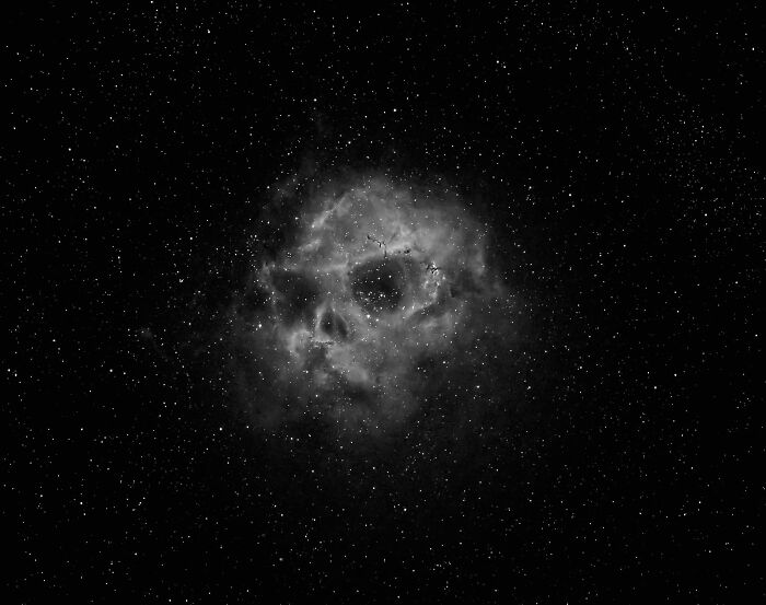 Accidental-Surrealism