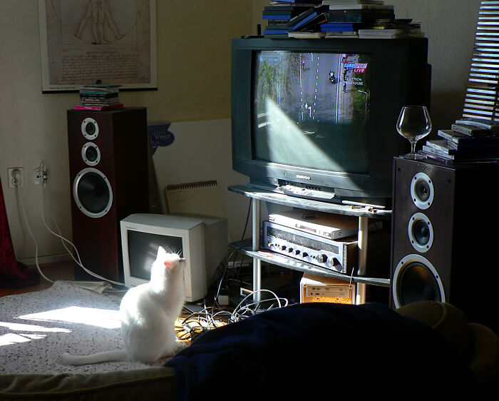 35 People Answer "What Is The Most Important/Biggest Unspoken Rule You Know?”