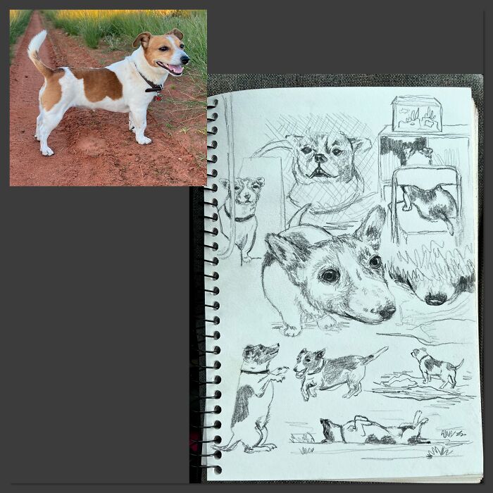 Doodles Of My Goodest Girl