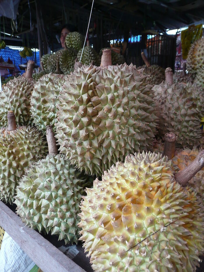 29 People Share Their "Anti-Bucket" List Of Things They Will Never, Ever Do, No Matter What