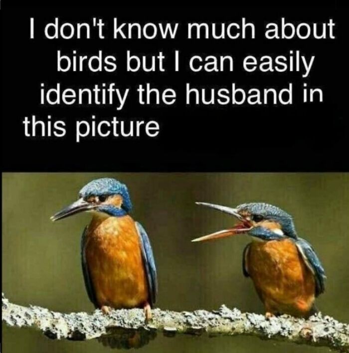 Funny-Middle-Aged-Humor-Pics