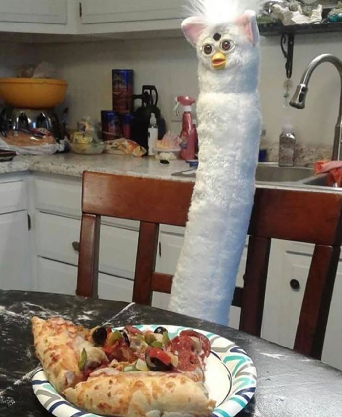 This Group Is All About Sharing "Cursed Images", And Here's 34 Of The Most Bizarre Ones