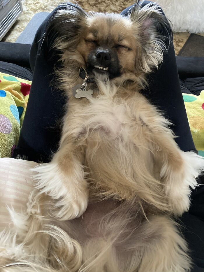 My Sleepy Boy Teddy