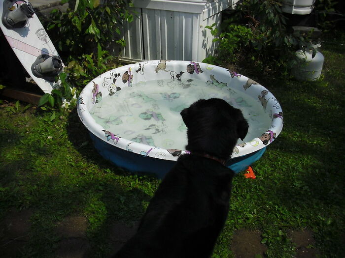 30 Decisions People Made During The Pandemic That, In Hindsight, Bit Them In The Butt, As Pointed Out In This Viral Thread