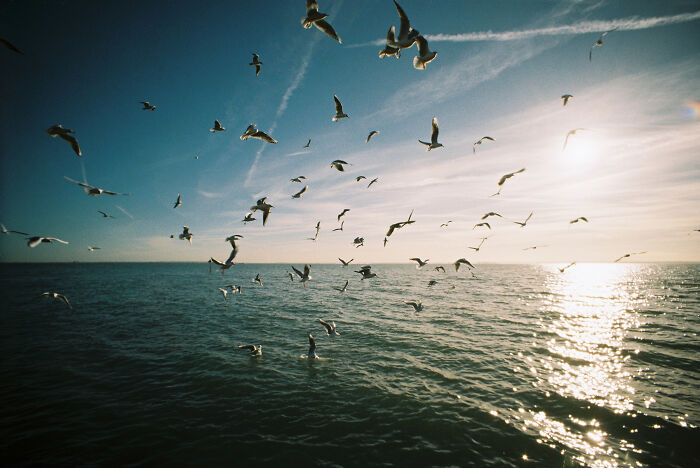 Users Of This Online Group Reveal 30 Things That Were Considered Regular When They Were Kids, But Now They Don’t See It Anymore