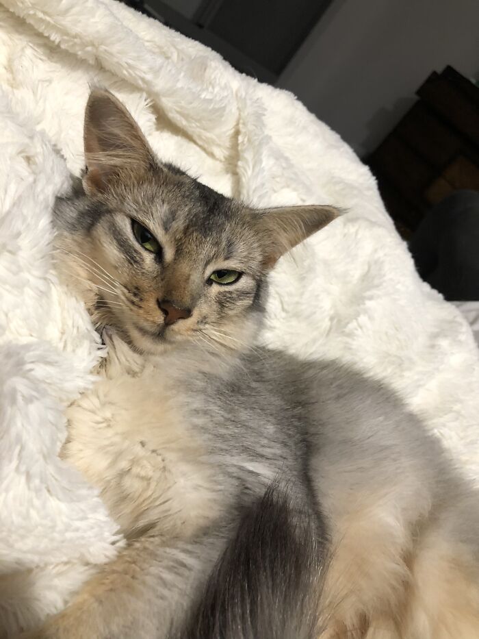 “Paint Me Like I’m One Of Your French Girls” ~ Willow