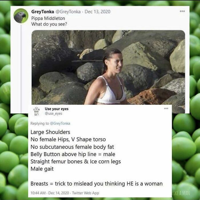 Is Your Belly Button Above Hipline, You Fraud?!