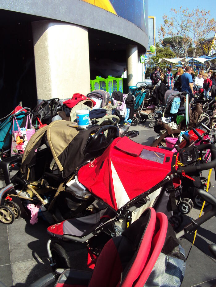 This Viral Thread Has People Pointing Out The Biggest ‘Traps’ In Life That Many Fall Into, And Here Are 30 Of Them