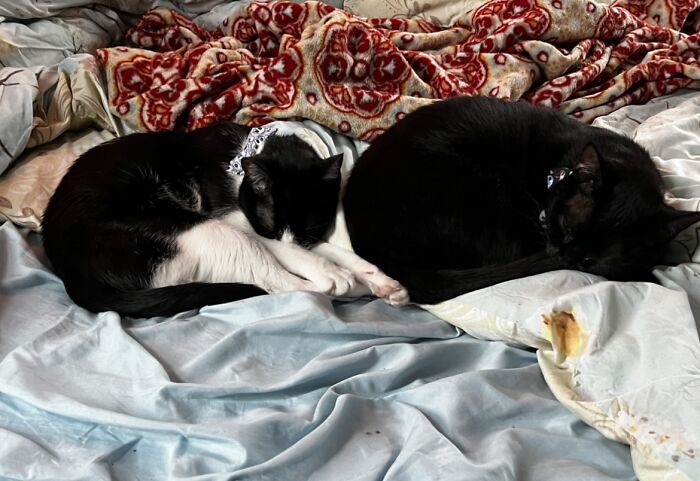 My 2 Girls Are 5 Years Apart But Inseparable. They Fit Perfectly Together