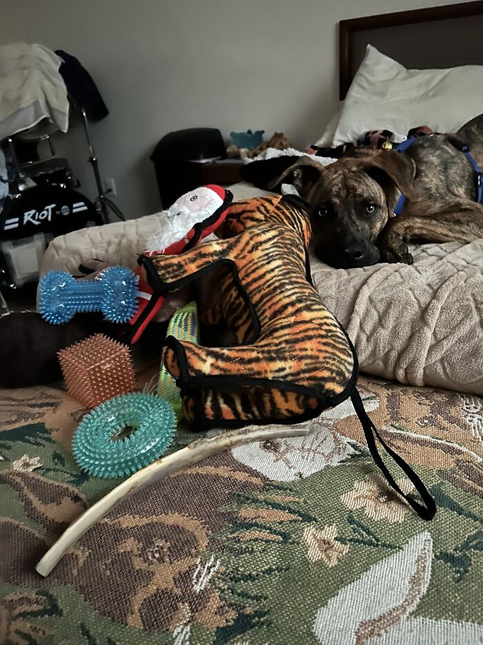 The “Post Present Bash Cool-Down”