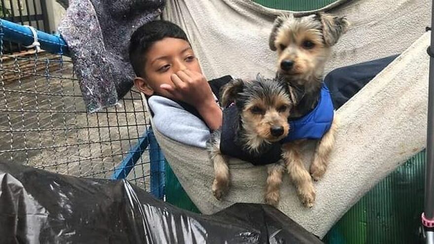 In Brazil, Dogs Make Homeless Children's Lives A Little Less Sad (30 Pics)