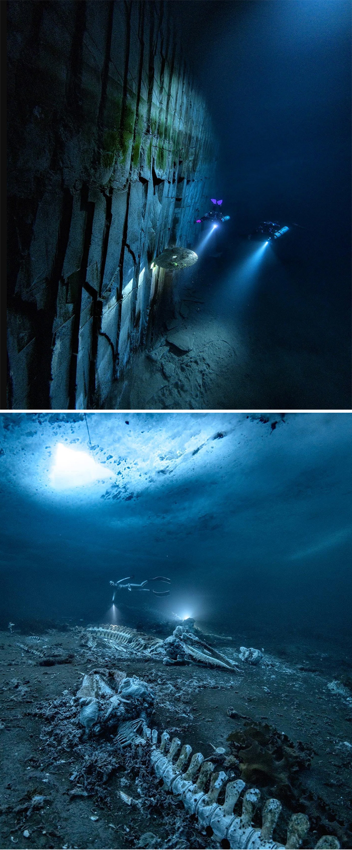 Two divers with flashlights explore eerie ocean depths near jagged rocks and large skeletal remains under the dark water.